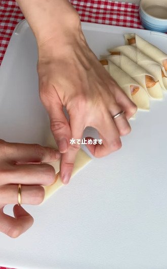 投稿動画のワンシーン