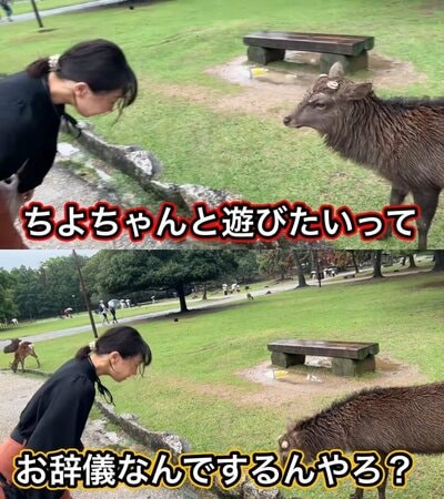 投稿の画像