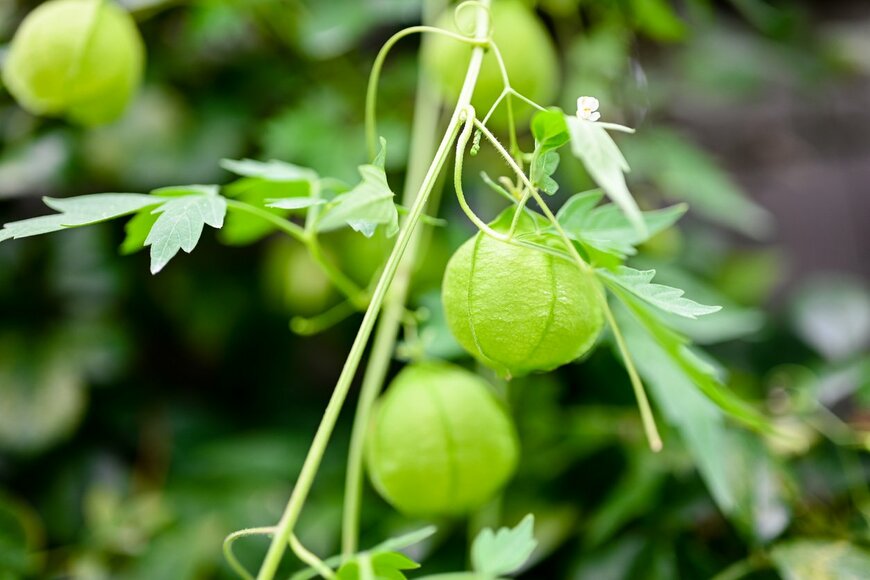 joel-t/istockphoto.com