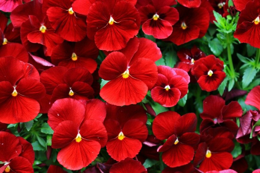 Free art director/istockphoto.com