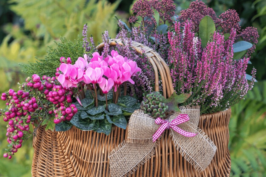 Natalia Greeske/shutterstock.com