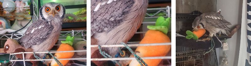 出所：@khmFvyd8Z1Xt4rB