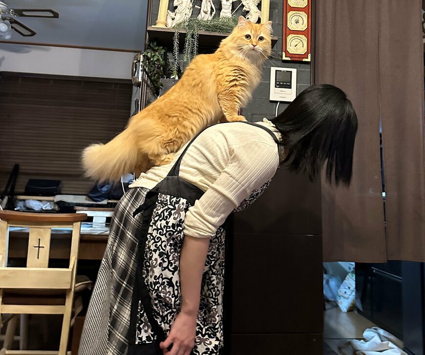 出所：@NEKOLAND13