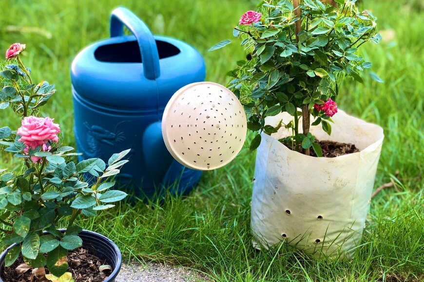 Nita smile/shutterstock.com