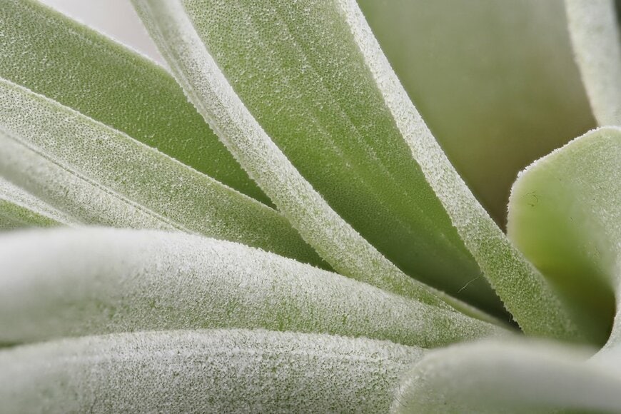 Khun Ta/Shutterstock.com