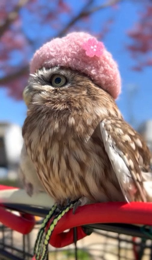 出所：@cr8673.hiro