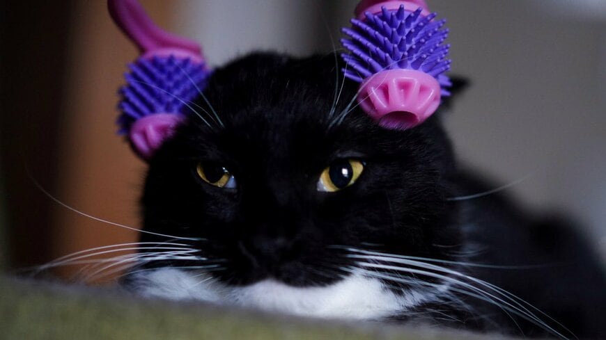 出所：＠unicouniuni3