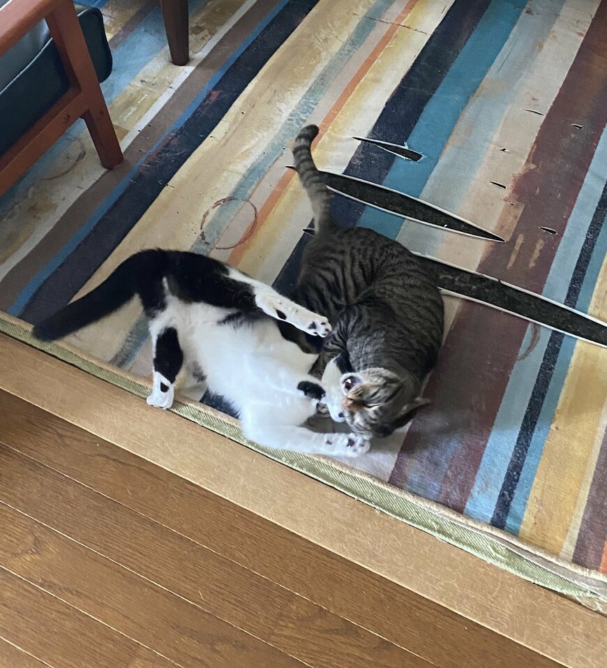 出所：@00shitemita