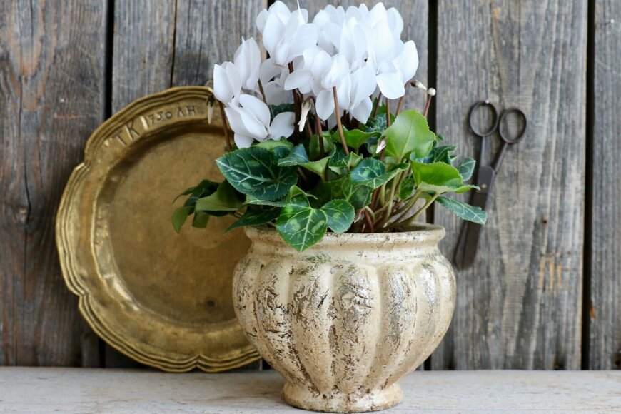 Galina Grebenyuk/shutterstock.com