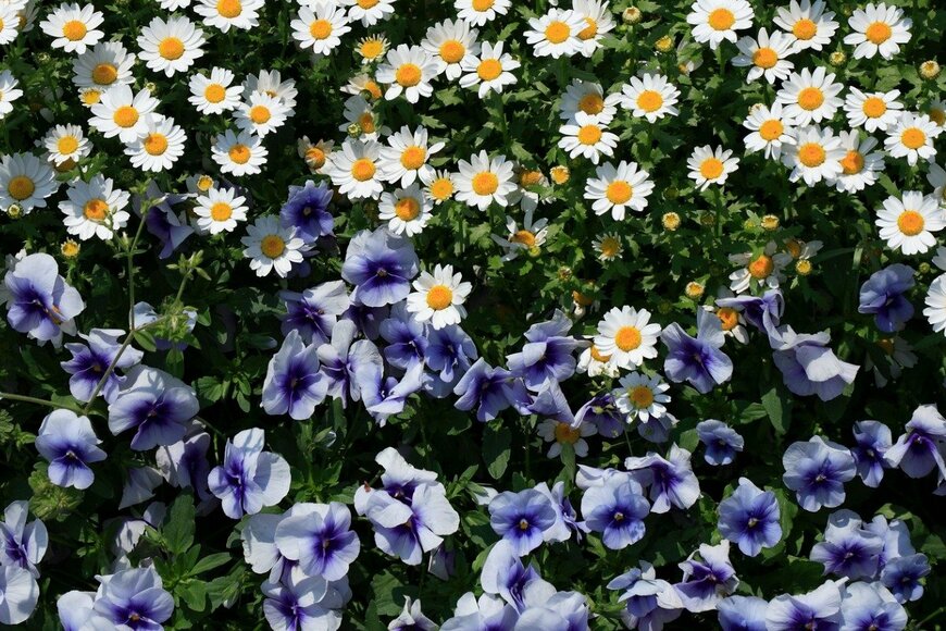 gyro/istockphoto.com