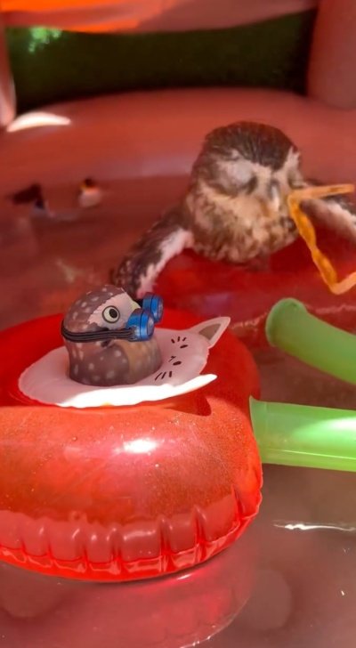 出所：@cr8673.hiro