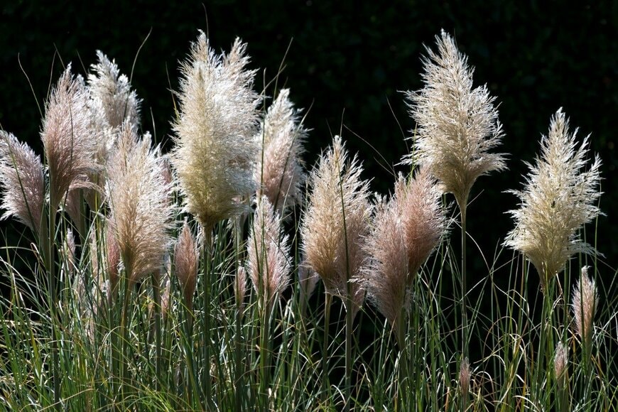 Fedezbon73/istockphoto.com