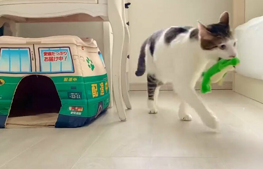 出所：@Saeroyi_cat