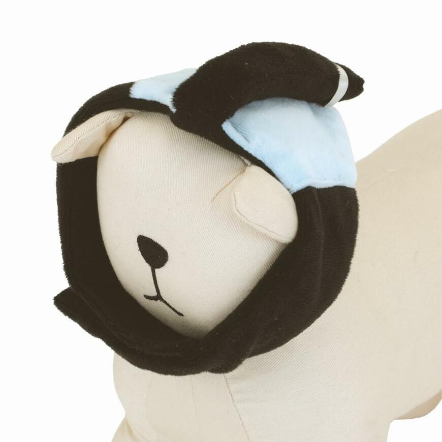 コメリ　Pet ami　猫の爪とぎ　猫に小判（お代官セット）（かつら）