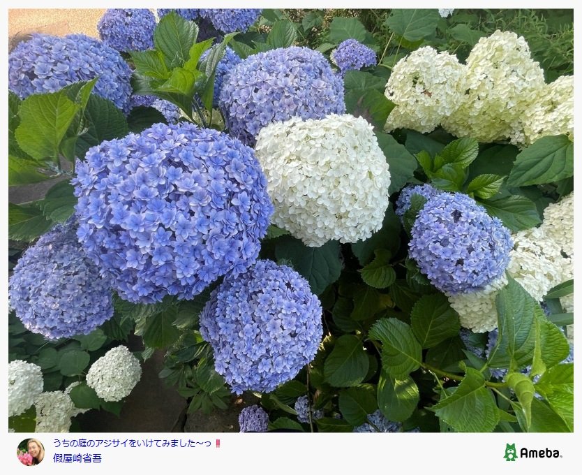 假屋崎省吾のAmebaブログ投稿