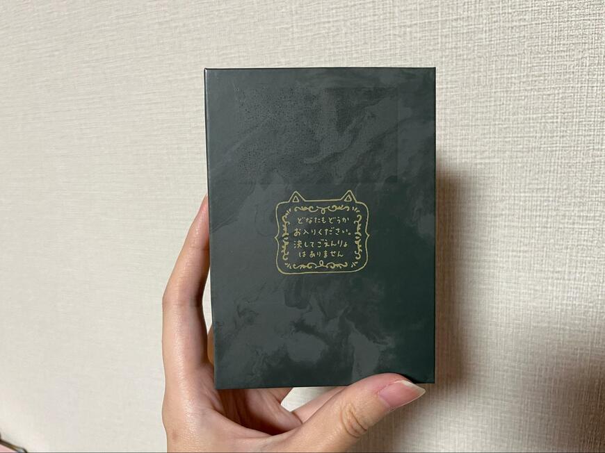 キャンドゥ、ブック型ボックス S 宮沢賢治画像