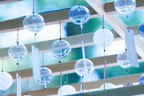 年金受給～平均寿命まで「男性約16年・女性約22年」70歳代の「年金と貯蓄」はいくらかグラフで見る