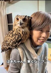【ほっこり】82歳おばあちゃんを、大きな翼で包み込む〈フクロウ〉の姿が話題　「優しいなぁ」「めっちゃ男前」