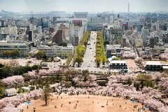 兵庫県で二番目に「人口が多い市」はどこ？　正解したのは全体の約2割だった