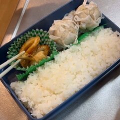 【こういうのが一番好き】焼売2段重ねで食べ応え抜群　縦半分におかずとご飯がきっちり詰まった一品が美味しそう