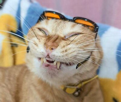 衝撃的な表情に思わず目を疑う！