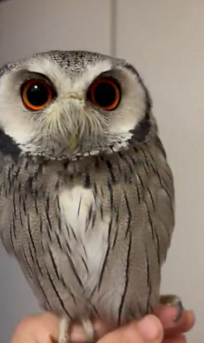 投稿動画のワンシーン