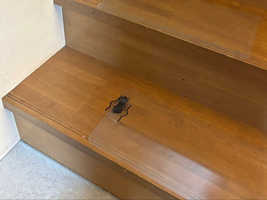 階段にいた「黒い虫のようなもの」に恐怖　偶然の一致が作り出した正体に「拡大しちゃった」「これは叫ぶ」