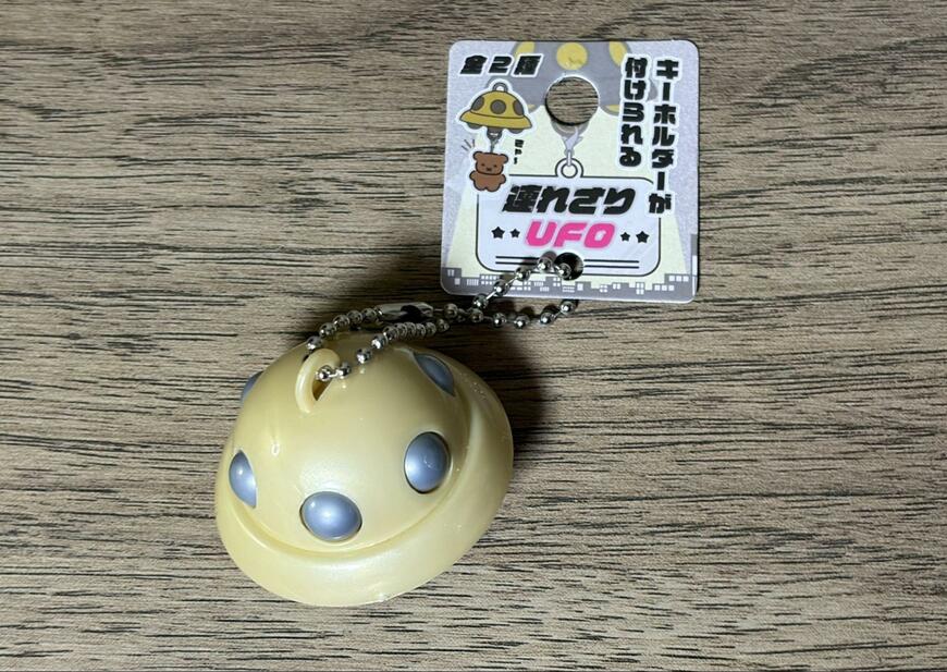 筆者撮影（セリア、連れさりUFO）