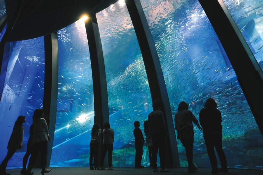 出所：株式会社横浜八景島