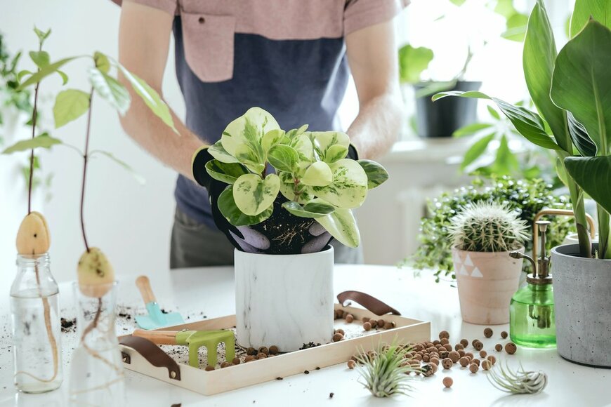 Followtheflow/Shutterstock.com