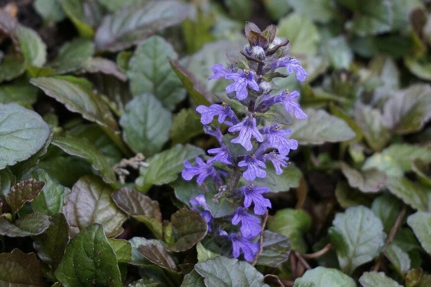 Albin Raj/istockphoto.com