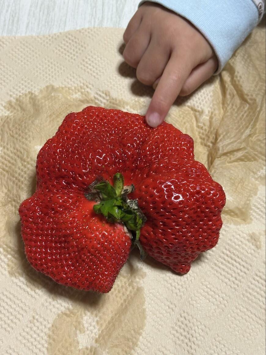 出所：@kimidori_itame