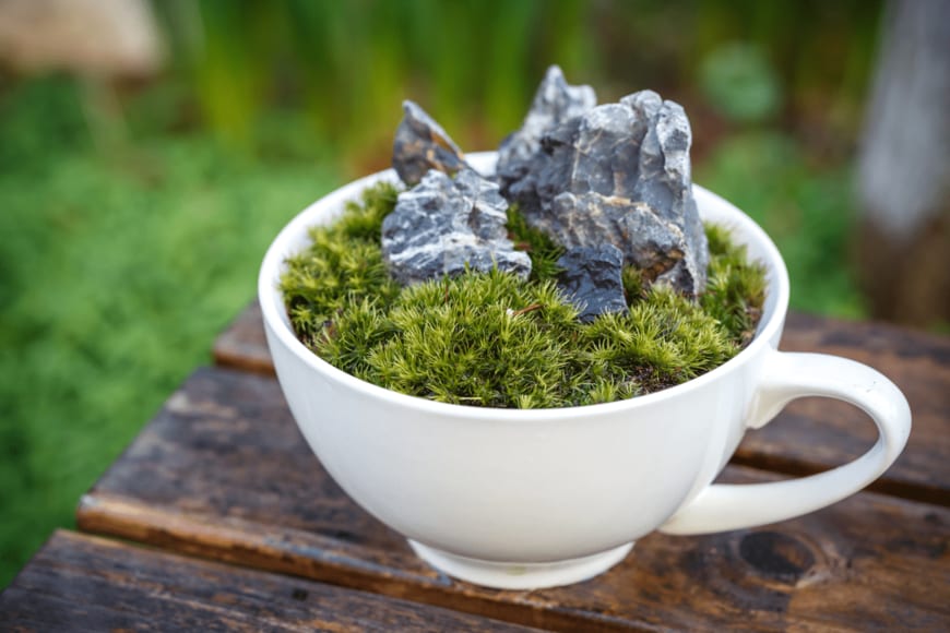 TOMO/shutterstock.com