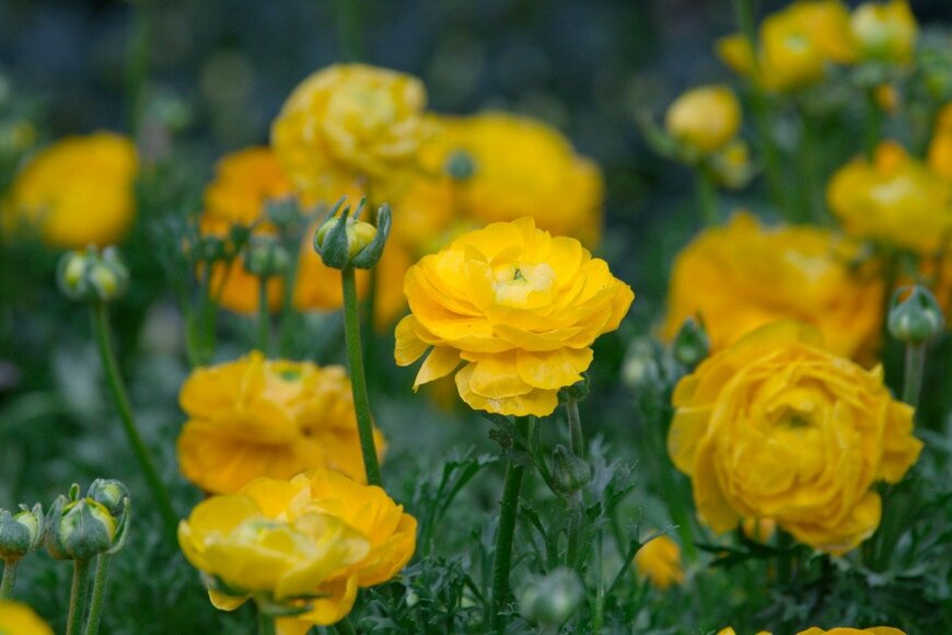 hikaru1222/istockphoto.com