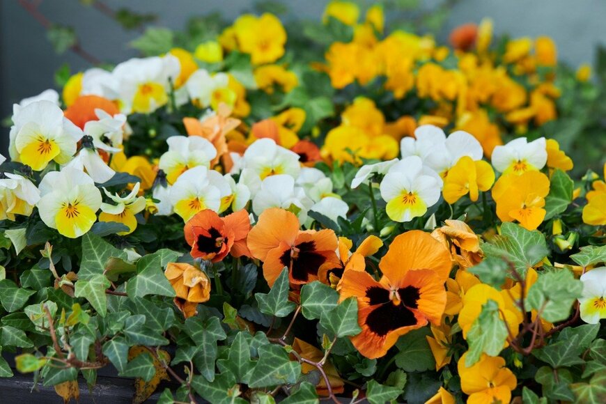 Liudmyla Liudmyla/istockphoto.com