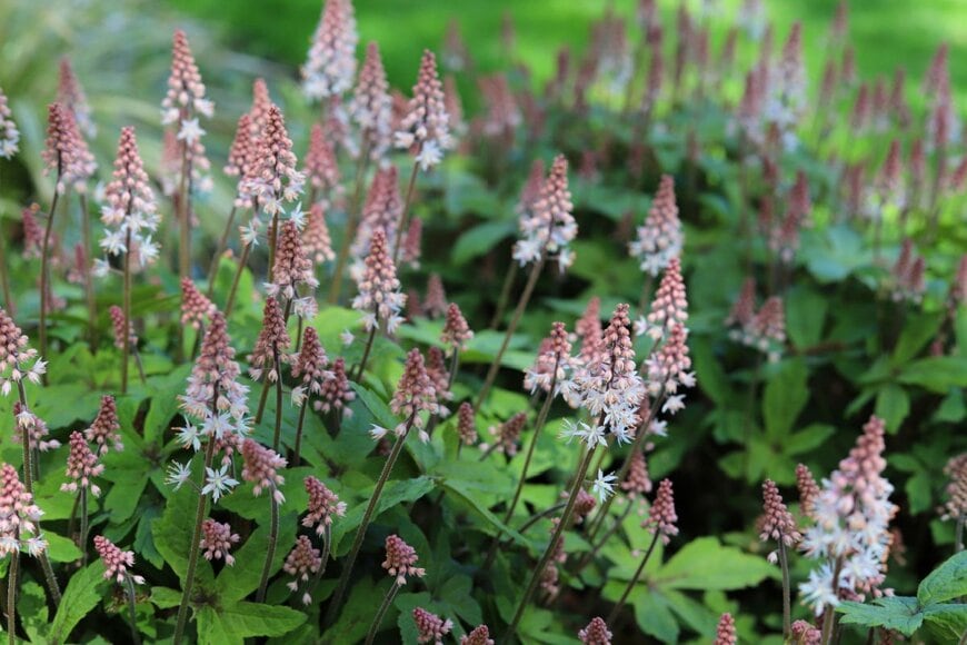 Kabar/shutterstock.com