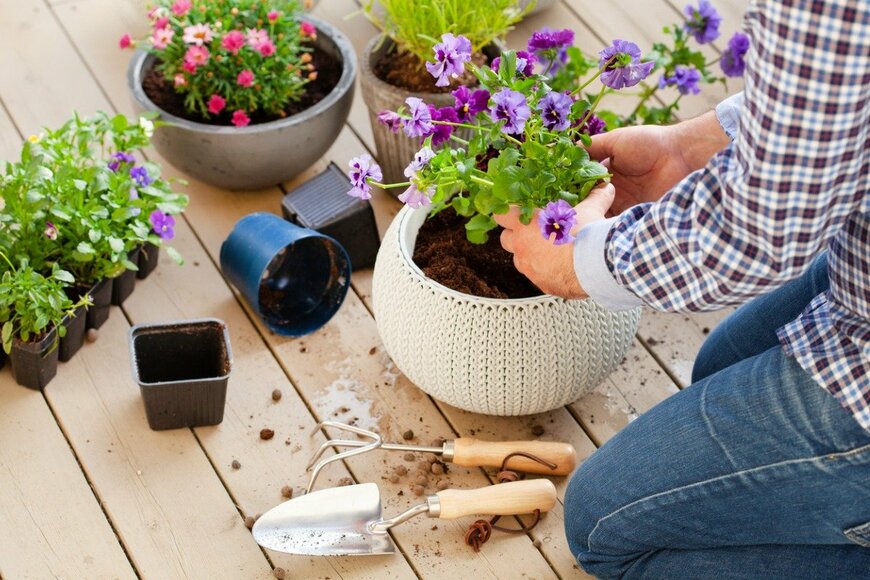 OlgaMiltsova/istockphoto.com