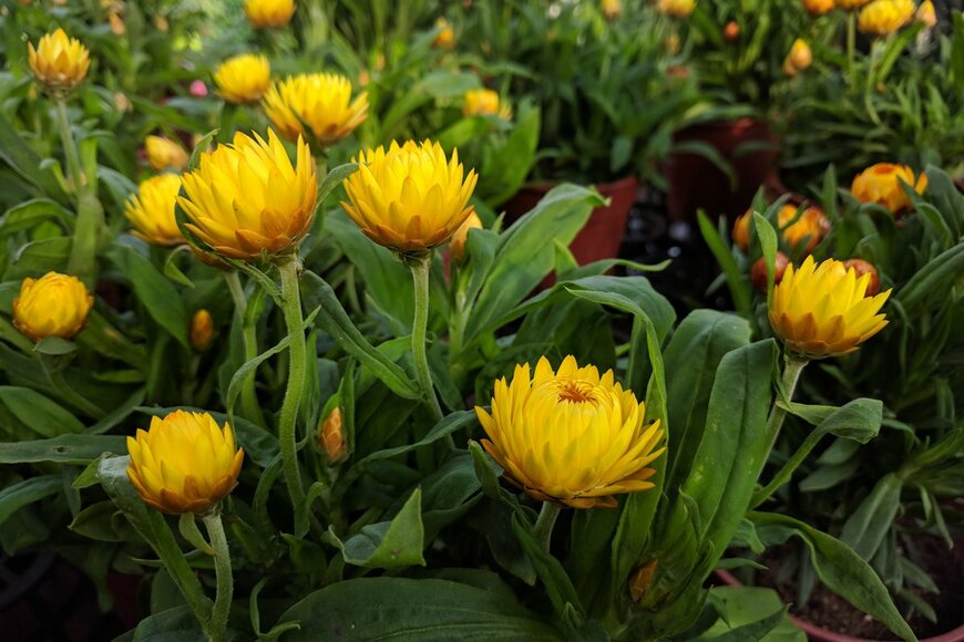 sharohyip/shutterstock.com