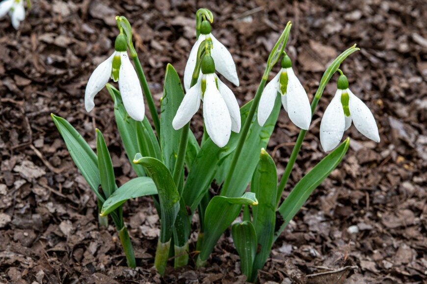 Billy_Fam/istockphoto.com