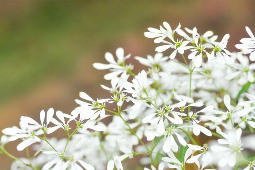 Jobrestful/istockphoto.com