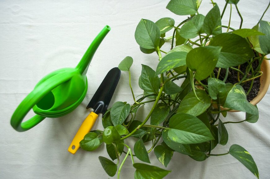 Kateryna Medetbayeva/istockphoto.com