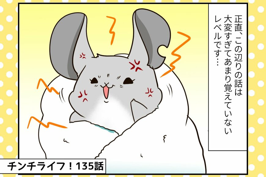 チンチラの「おみくじ」が全くえさを食べない。呼吸にも変化が【チンチライフ135話】