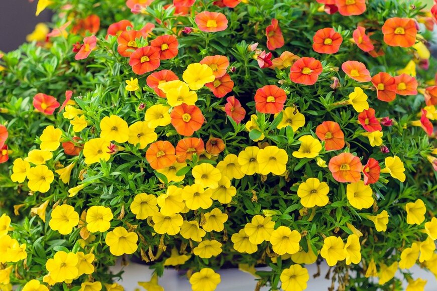 Mark R Coons/istockphoto.com