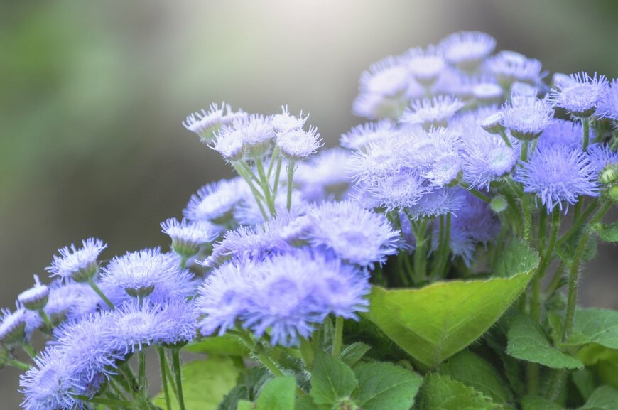 undefined undefined/istockphoto.com