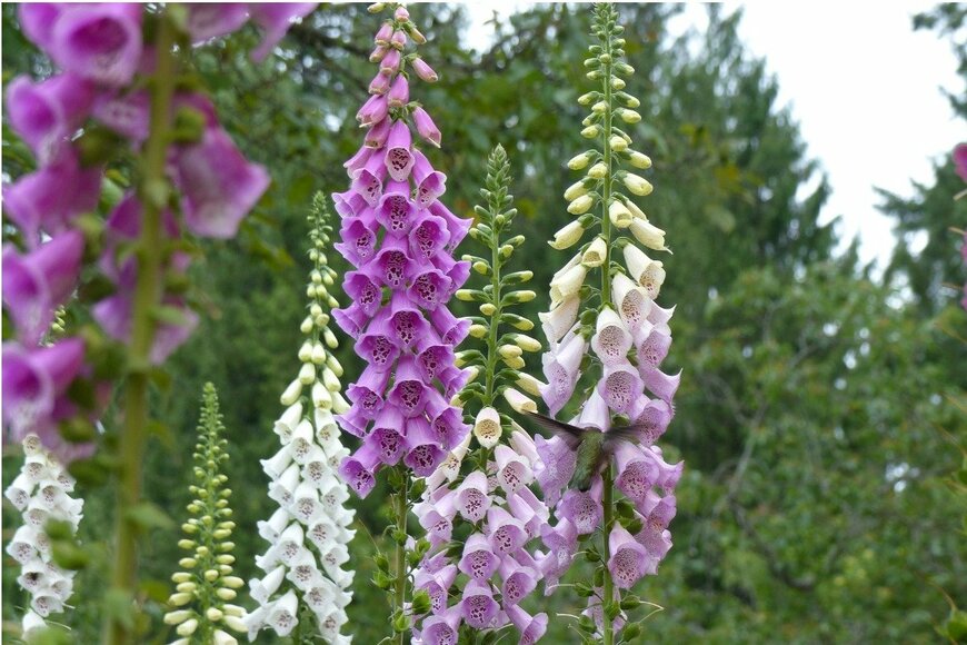 Simon Stocks/istockphoto.com