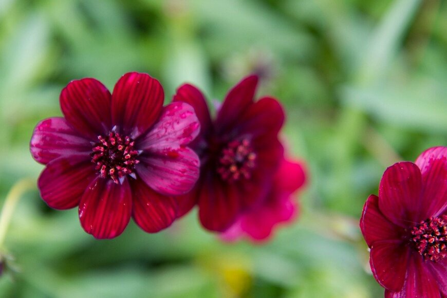 teine/istockphoto.com