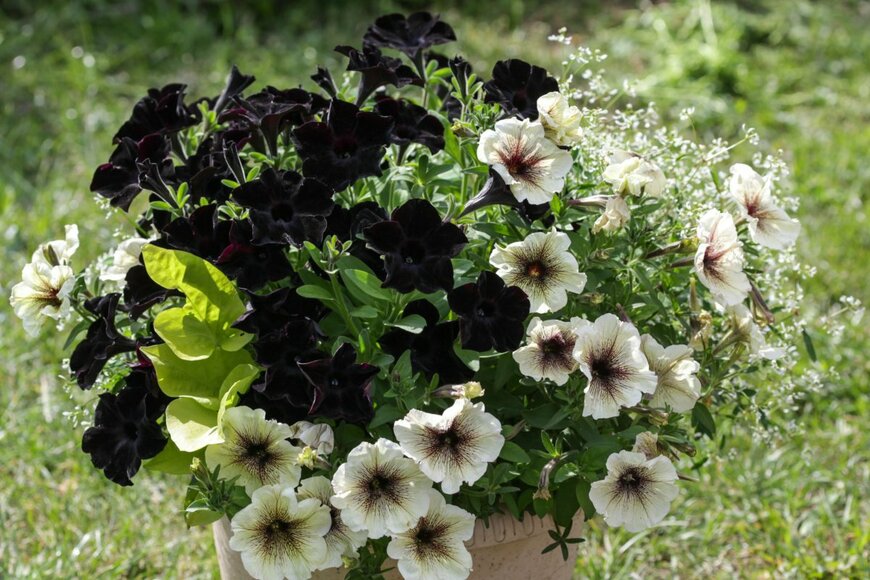 Klever_ok/shutterstock.com