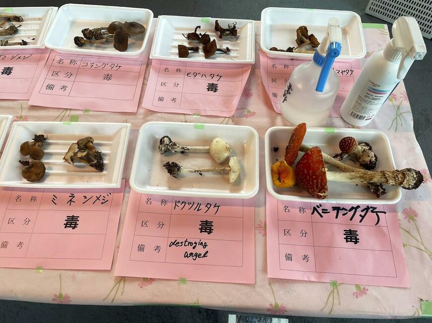 出所：@lonely_planet_