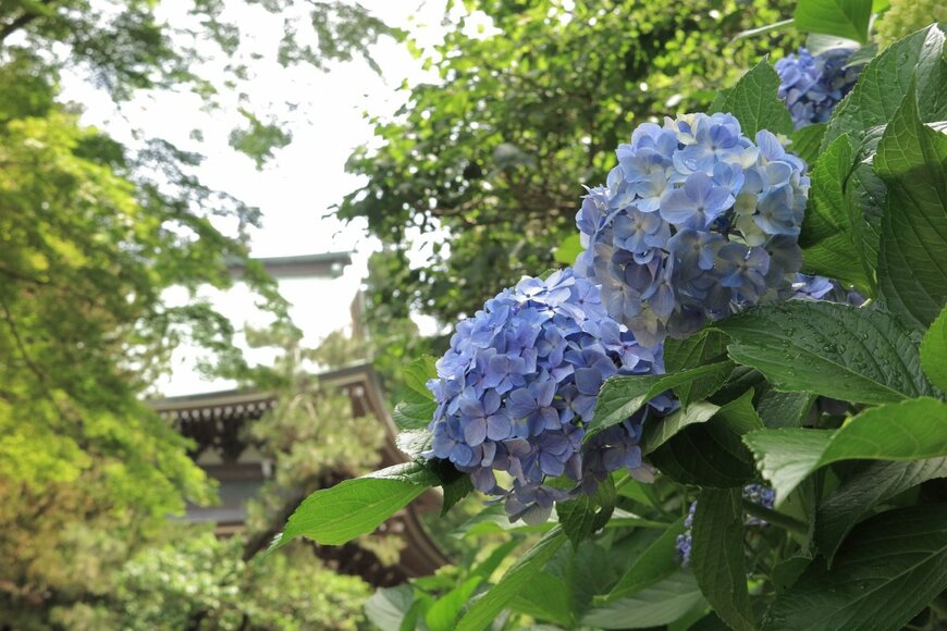 funboxphoto/shutterstock.com