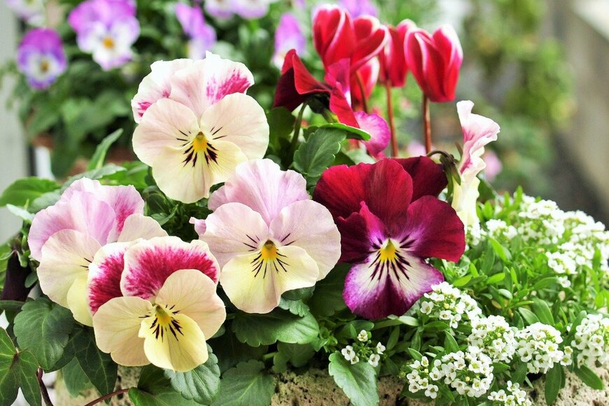 syan/istockphoto.com